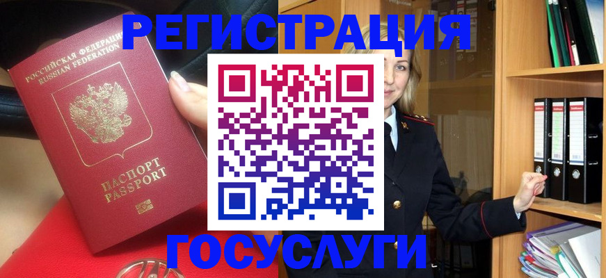 прописка поиск в Камышине